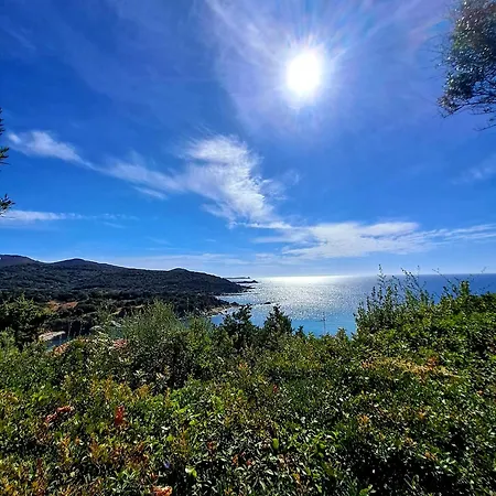 Is Traias 126
